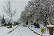 برفی که بهار ملایر را غافلگیر کرد