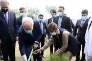 درختکاری ظریف در محوطه وزارت خارجه پاکستان+ فیلم