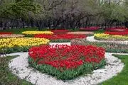 جشنواره لاله های مشهد/ گزارش تصویری