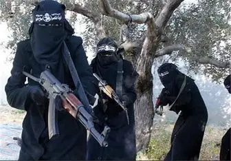شکایت زنان داعشی از سوئد به دلیل نقض حقوق بشر