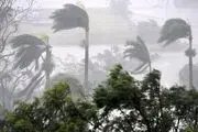 طوفان زابل ۱۵۷ مصدوم برجای گذاشت