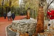 با طب سنتی در پاییزسالم بمانیم