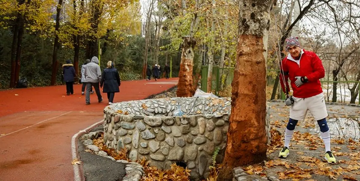 با طب سنتی در پاییزسالم بمانیم