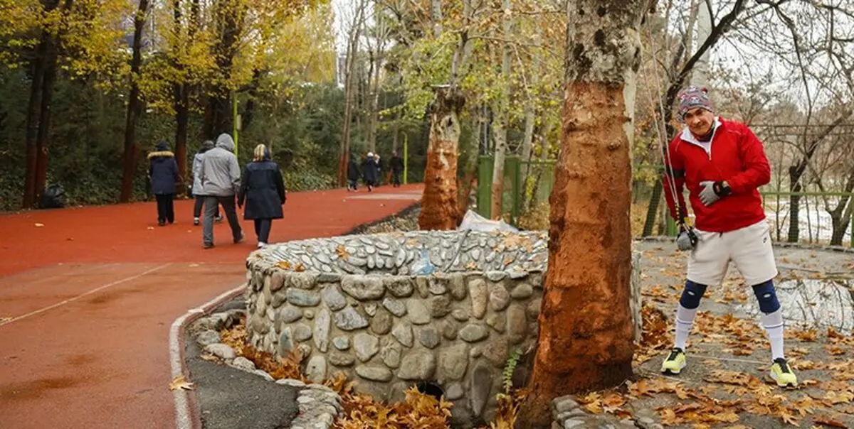 با طب سنتی در پاییزسالم بمانیم