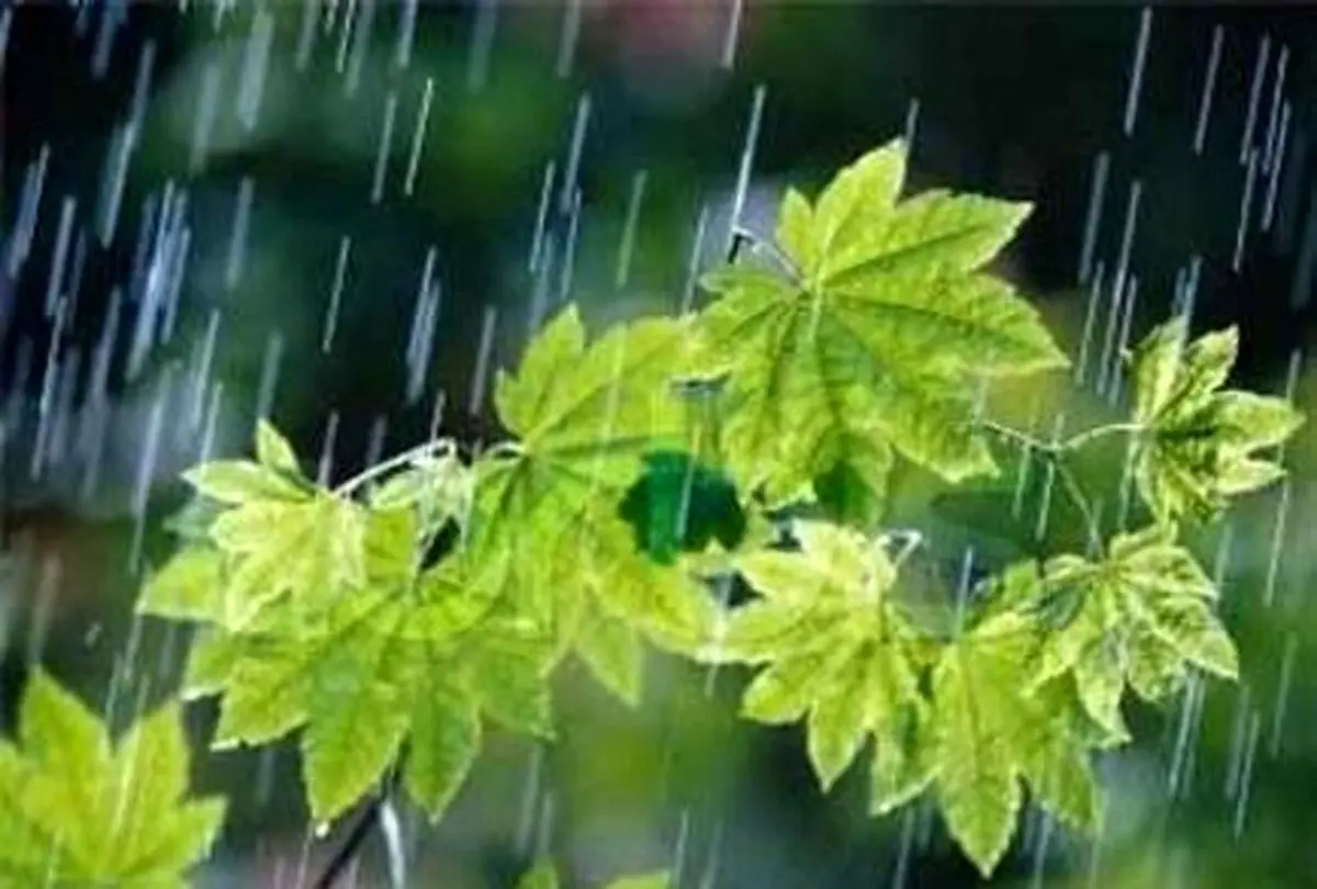پیش بینی آب و هوای کشور