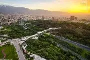  پل طبیعت بنفش می شود