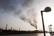 سلطان پتروشیمی ارتباطی به بخش دولتی ندارد