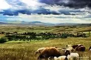 زیبایی های خدادادی شهرستان کوثر +تصاویر