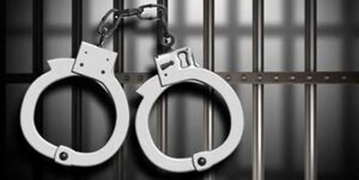 اظهارات مسافر هتاک به مازندرانی ها پس از دستگیری+ فیلم