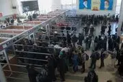 شکستن گیت‌های خروجی مرز مهران صحت ندارد 