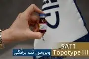 شناسایی سویه جدید ویروس تب‌برفکی SAT۱ در تهران