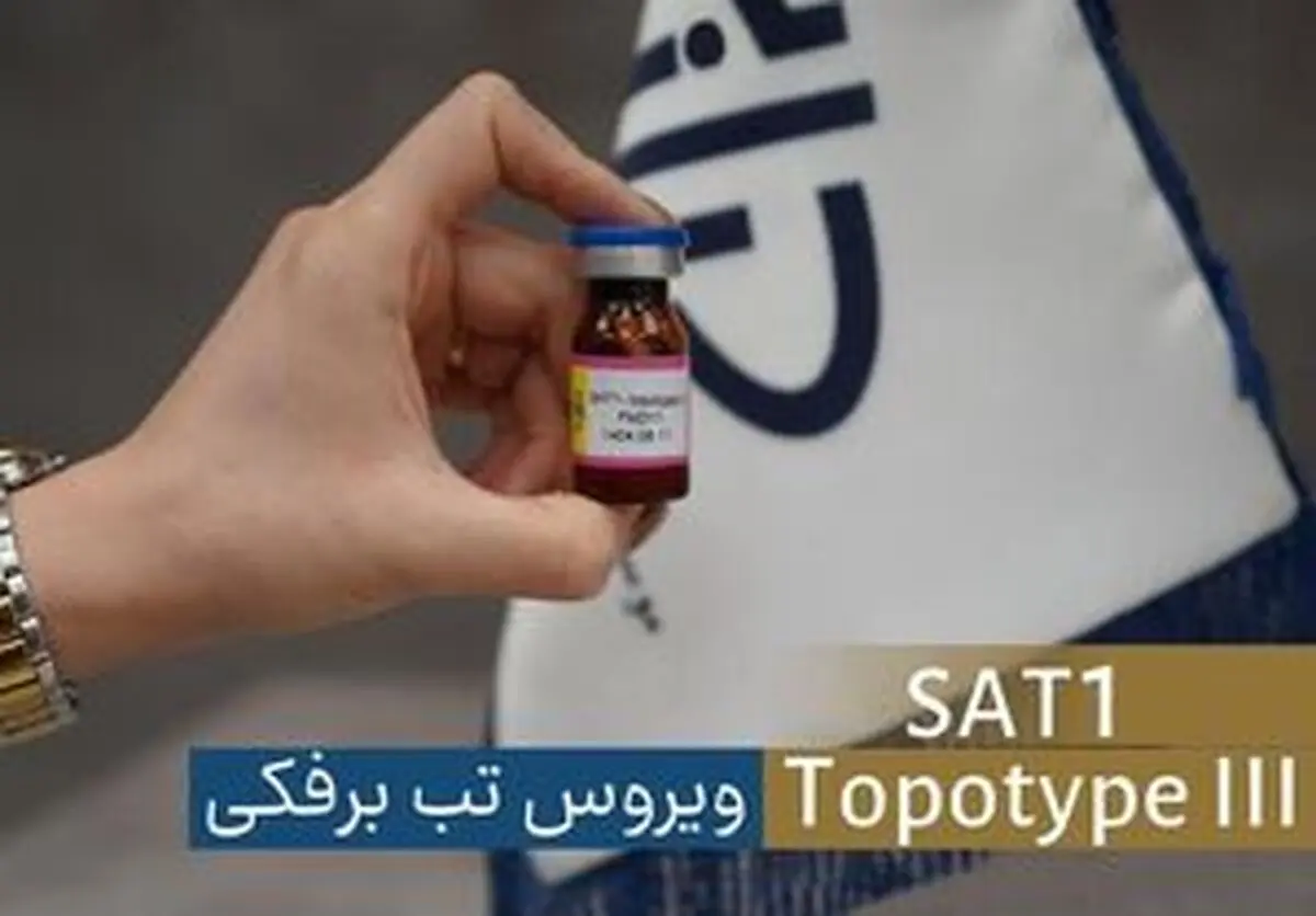 شناسایی سویه جدید ویروس تب‌برفکی SAT۱ در تهران