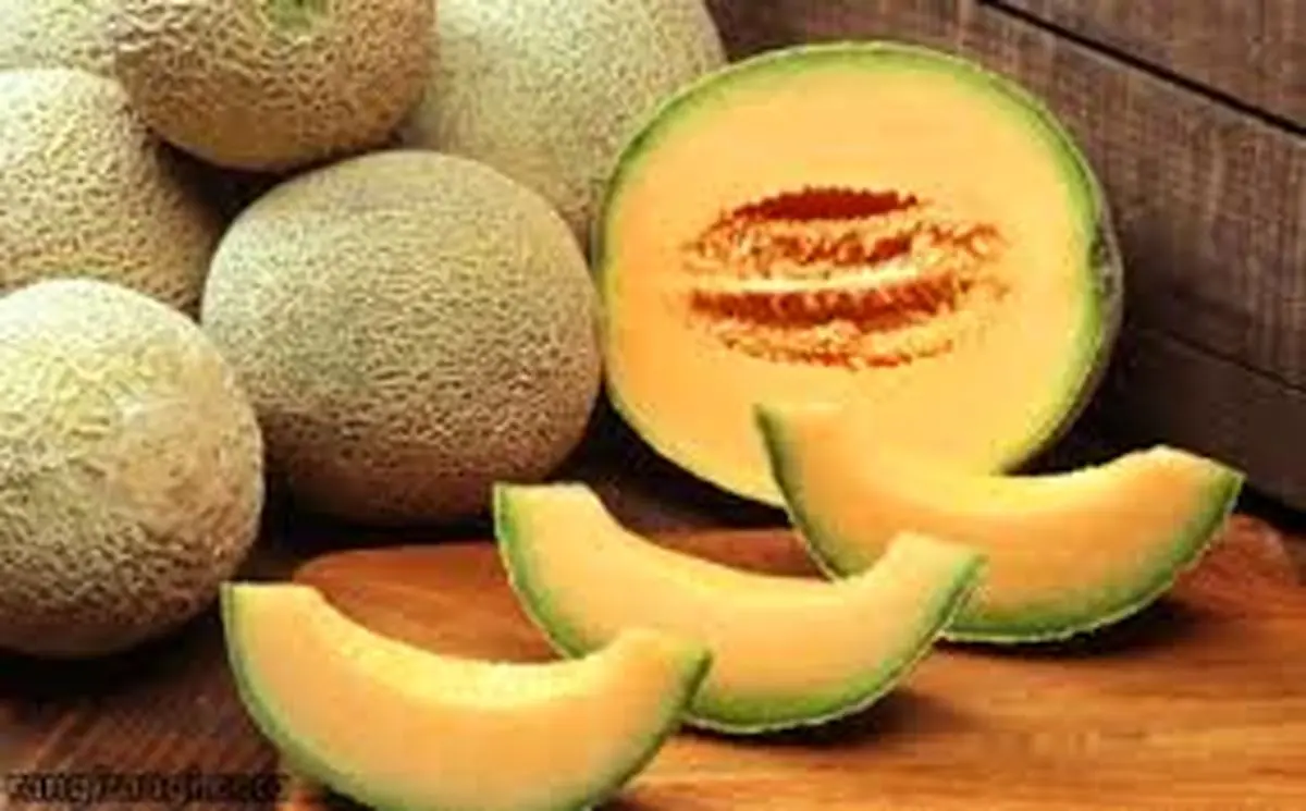فواید و مضرات طالبی