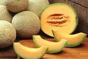 فواید و مضرات طالبی