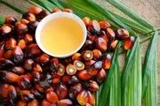 درباره این روغن و موارد استفاده‌اش چقدر می‌دانیم؟