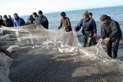 صید ماهی در دریای خزر آغاز شد