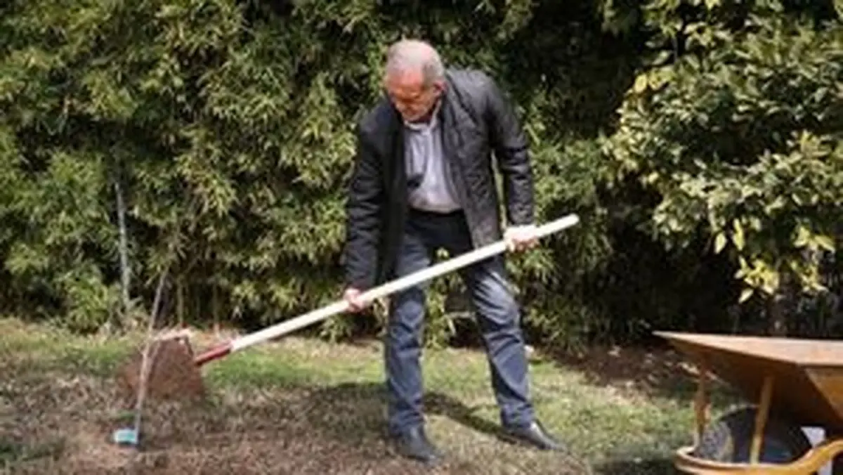 
مردم با مشارکت در کاشت درخت به بهبود محیط زیست کمک کنند