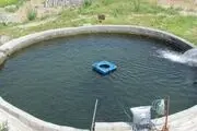 فعالیت ۲۵ استخر پرورش ماهی در مهرستان