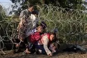پناهندگان سوری پشت نرده‌های اروپا/گزارش تصویری