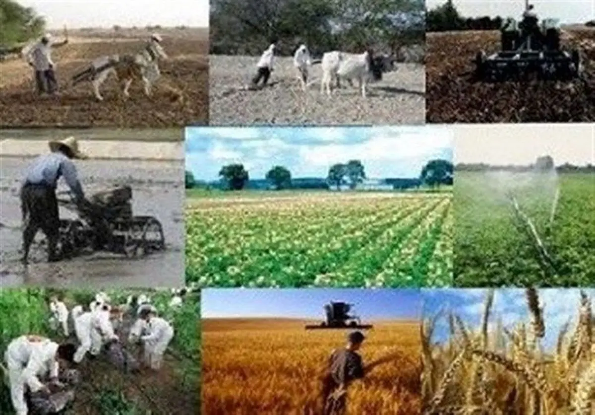 ایجاد ۹۰ هزار شغل جدید در ۵ هزار روستای محروم توسط بنیاد برکت
