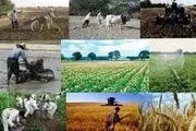 ایجاد ۹۰ هزار شغل جدید در ۵ هزار روستای محروم توسط بنیاد برکت