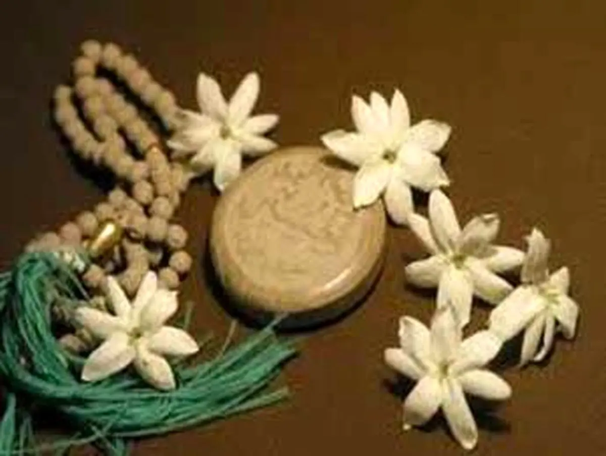 کسی که حمد و سوره را در نماز فراموش کند چه باید انجام دهد؟