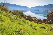بهشت گمشده خوزستان/ گزارش تصویری