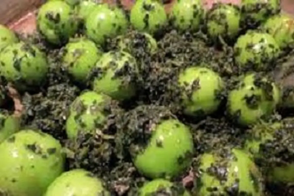 خواص بی نظیر گوجه سبز را بشناسیم
