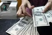 واکنش نماینده مجلس به اظهارات «رئیسی» درباره حذف ارز ترجیحی