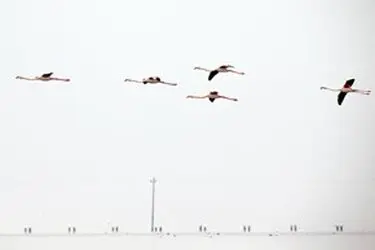 13951214001167636242323832256235_28614_PhotoU