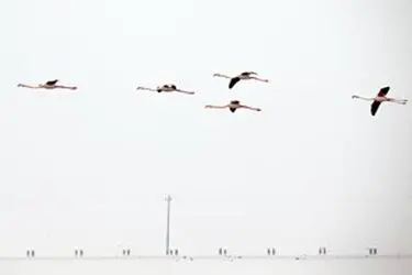 13951214001167636242323832256235_28614_PhotoU