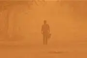 مالچ پاشی و نهال کاری دو پروژه شاخص برای مقابله با گرد و غبار
