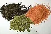 خواص باورنکردنی عدس در طب سنتی

