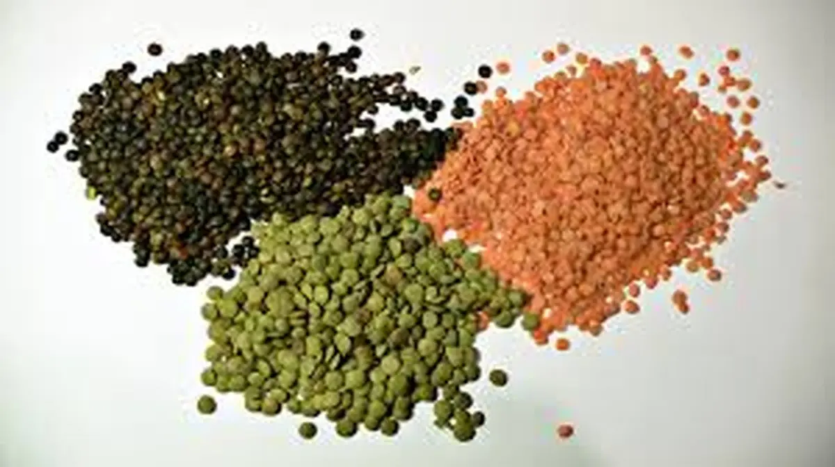 خواص باورنکردنی عدس در طب سنتی