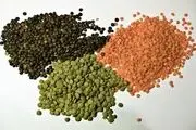 خواص باورنکردنی عدس در طب سنتی

