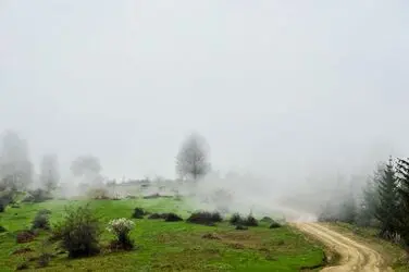 n00124685-r-b-016