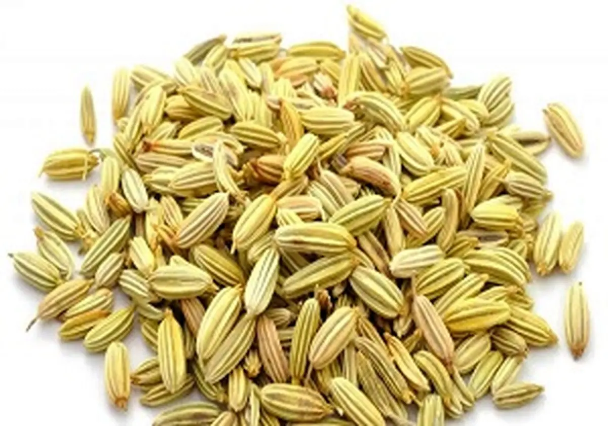 چربی سوزی شگفت انگیز با دمنوش رازیانه