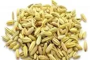 چربی سوزی شگفت انگیز با دمنوش رازیانه