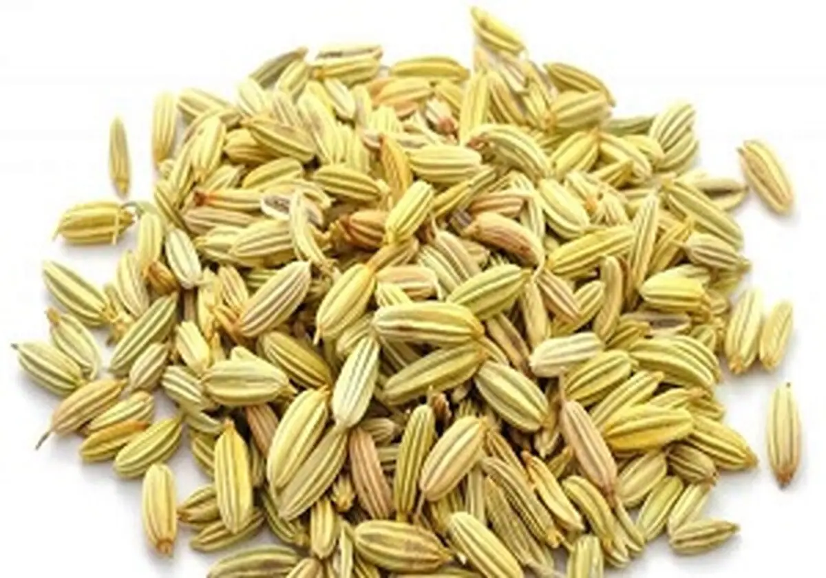چربی سوزی شگفت انگیز با دمنوش رازیانه