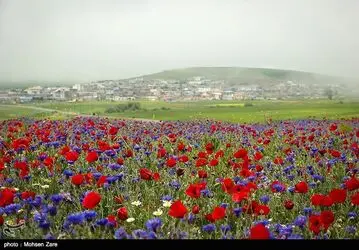 طبیعت
