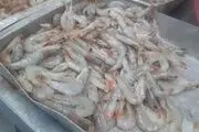  120 تن میگو از بندر چابهار به کشور امارات متحده عربی صادر شد
