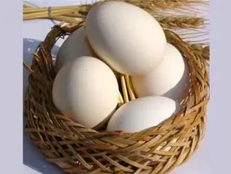 عرضه تخم مرغ کیلویی ۱۳۸۰ تومان