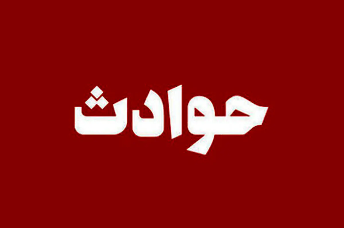 ببینید| سارقان بدون ماسک در زمان سرقت سوژه شدند 

