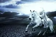 چرا از میان انبیاء فقط چهار پیامبر در رکاب امام زمان(عج) قرار می‌گیرند؟
