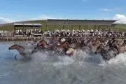 تاخت‌وتاز اسب‌ها در تالاب جاذبه گردشگری در مغول‌کوره