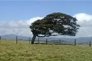 ناپایداری جوی در ۴ استان کشور