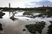 سیلاب ۲۸۵ میلیارد ریال به بخش کشاورزی خراسان شمالی خسارت وارد کرد
