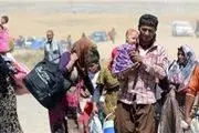 آوارگی بیش از سه میلیون عراقی به دلیل حملات داعش