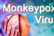 ویروس آبله میمون نمی تواند در بدن انسان تثبیت شود
