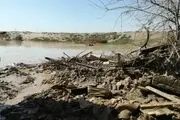  اقدامی جالب جهادی ها برای زوج های گلستانی/ تصاویر